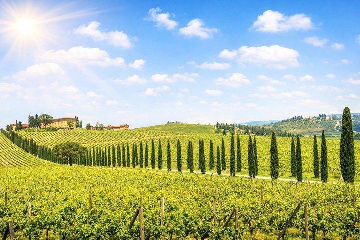 Excursion à Pise, San Gimignano et Sienne avec déjeuner