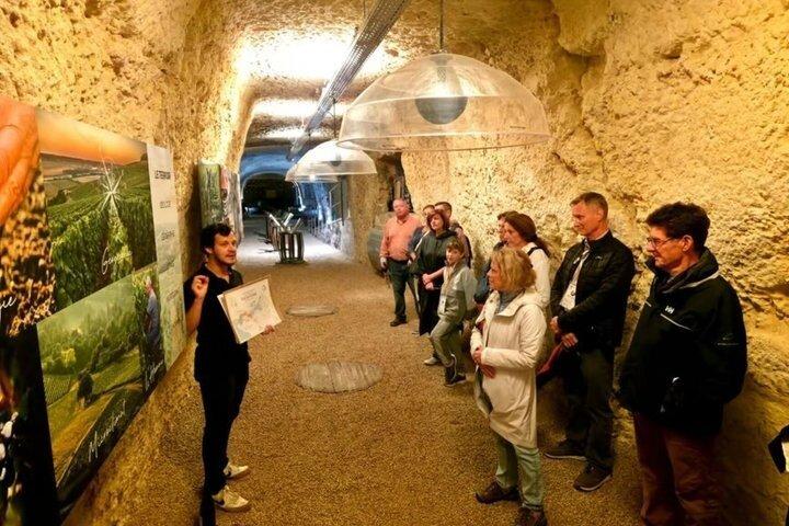 Paris to Loire Valley Wine Tour com degustações
