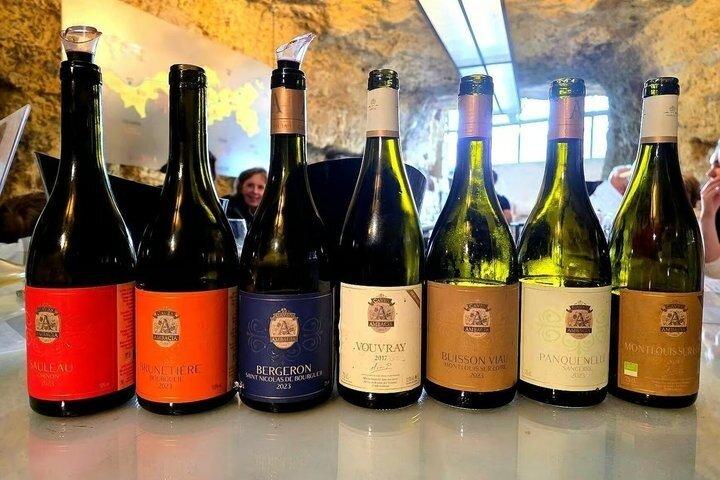 Paris to Loire Valley Wine Tour com degustações
