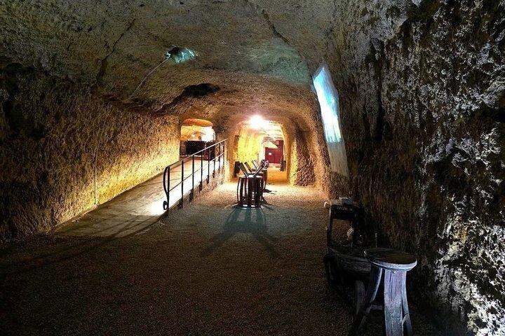 Paris to Loire Valley Wine Tour com degustações