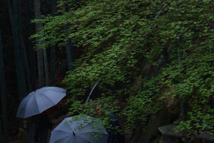静山禅寺へのプライベート杭州ウォーキングツアー