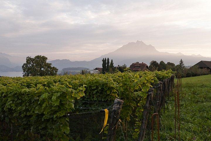 Lucerne Gourmet Tour Chocolate Experience & Vineyard Wine Tasting