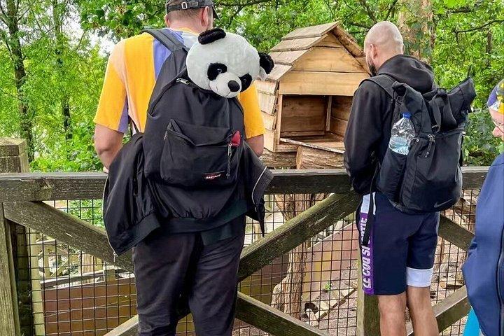 Private Guided Tour to Chengdu Panda Base