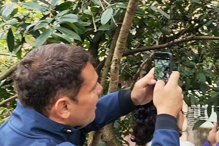 Private Guided Tour to Chengdu Panda Base