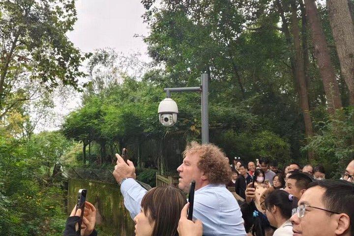 Private Guided Tour to Chengdu Panda Base