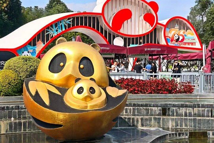 Private Guided Tour to Chengdu Panda Base