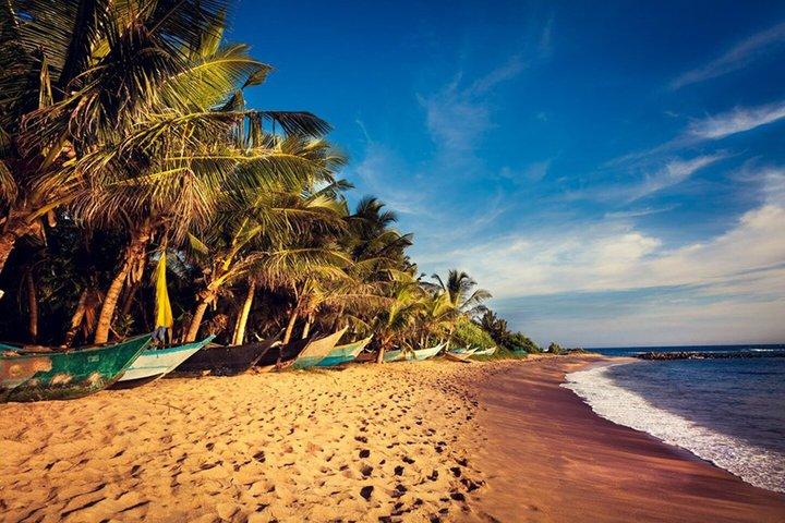 Sri Lanka Cultural e Highlights Tour Privado