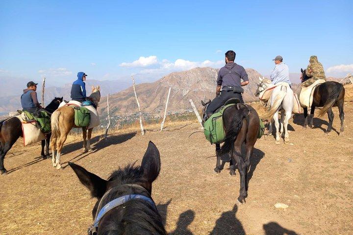 送迎付きサマルカンド乗馬ツアー