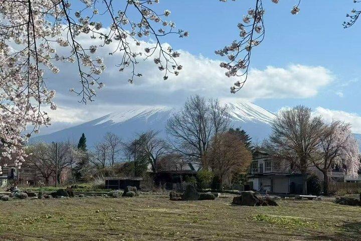 富士山と河口湖を巡るプライベート絶景日帰りツアー