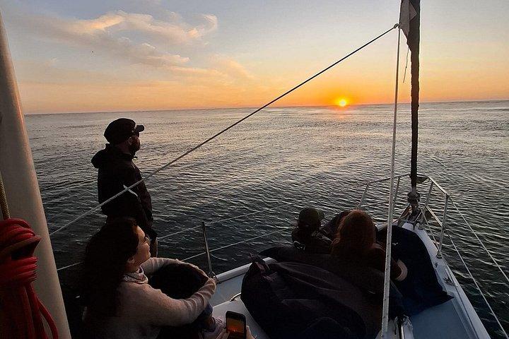 ポルト、あなただけのために！ ポートワインと夕日を楽しめるセーリングクルーズ