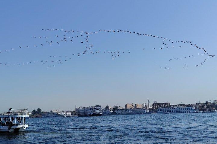 プライベートツアー：王家の谷、カルナック、ハトシェプスト神殿、ルクソール神殿
