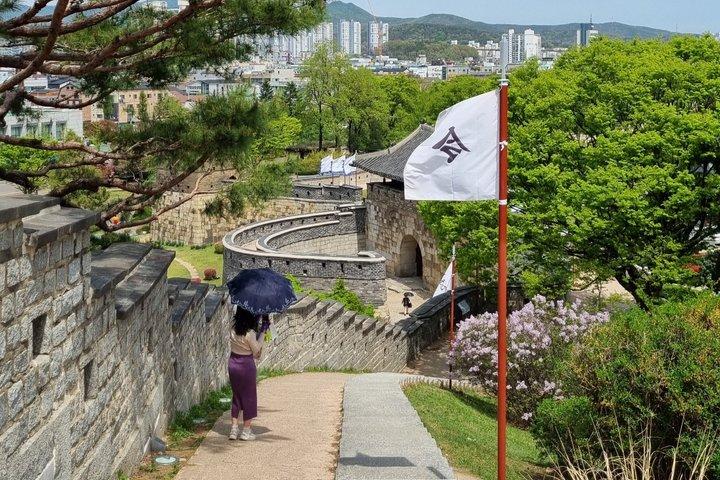 Discover Suwon: UNESCO Fortress & Hidden Gems Private Tour