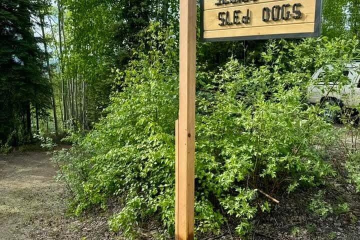 Visita a Goldstream Forest Hike & Kennel