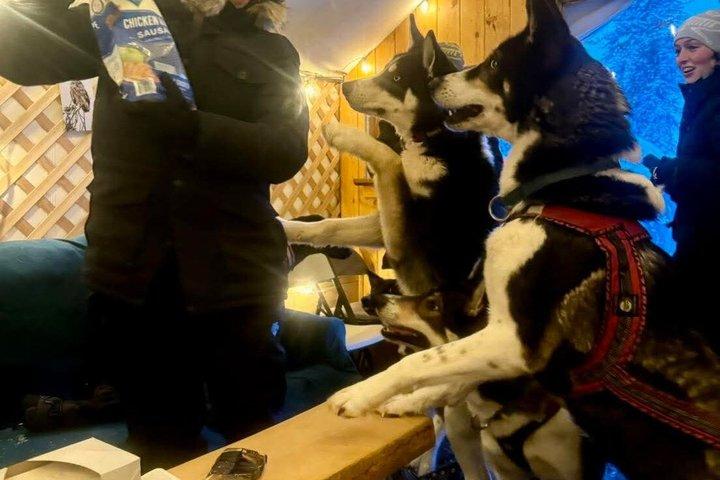 Visita a Goldstream Forest Hike & Kennel