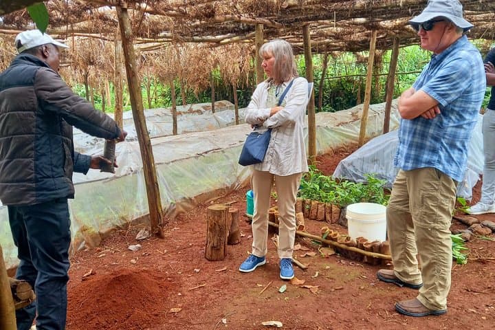 Nairobi : Private Tea Farm Tour With Tea Tasting & Lunch