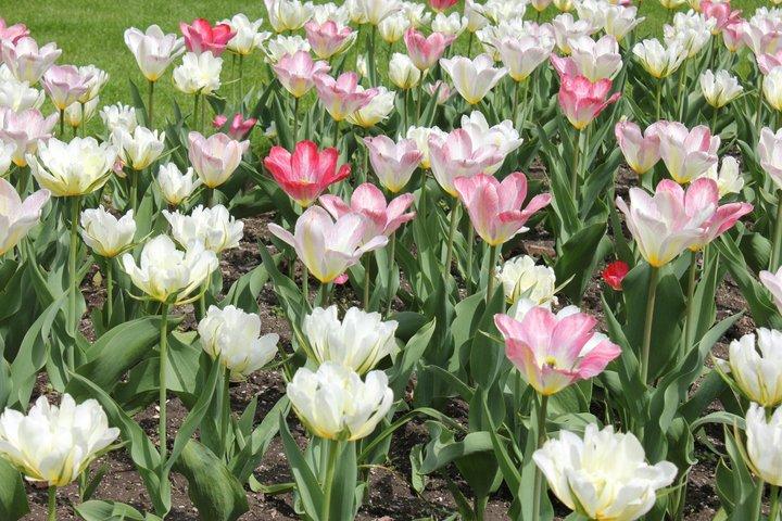 Kew Gardens Richmond Landmarks and Secret Spots Self Guided Tour