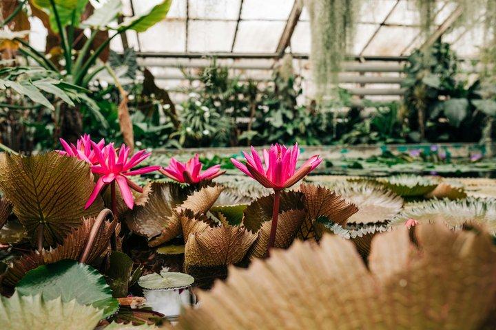 Kew Gardens Richmond Landmarks and Secret Spots Self Guided Tour
