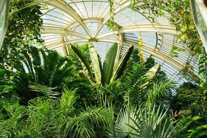 Kew Gardens Richmond Landmarks and Secret Spots Self Guided Tour