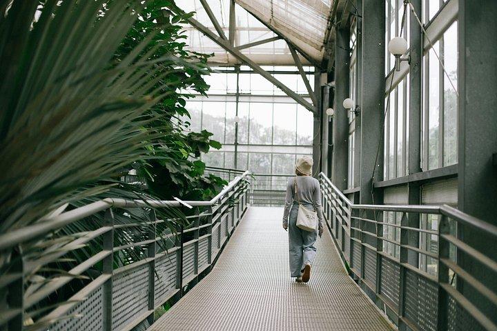 ケウ・ガーデンズの象徴的なランドマークと秘密のスポット セルフガイドツアー