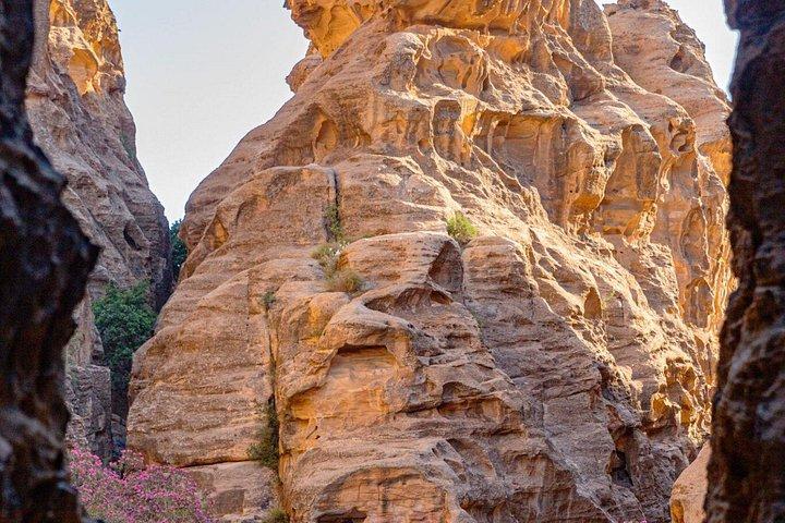 Petra Back Trail Adventure to the Monastery