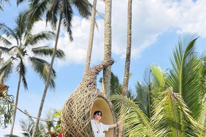 Tour privato delle attrazioni di Ubud
