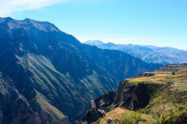 Colca Canyon Tour 1 Day from Arequipa