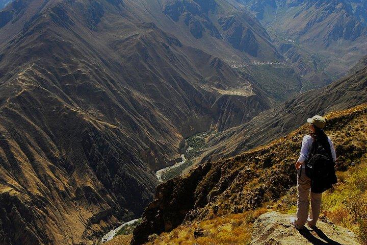 Colca Canyon Tour 1 Day from Arequipa