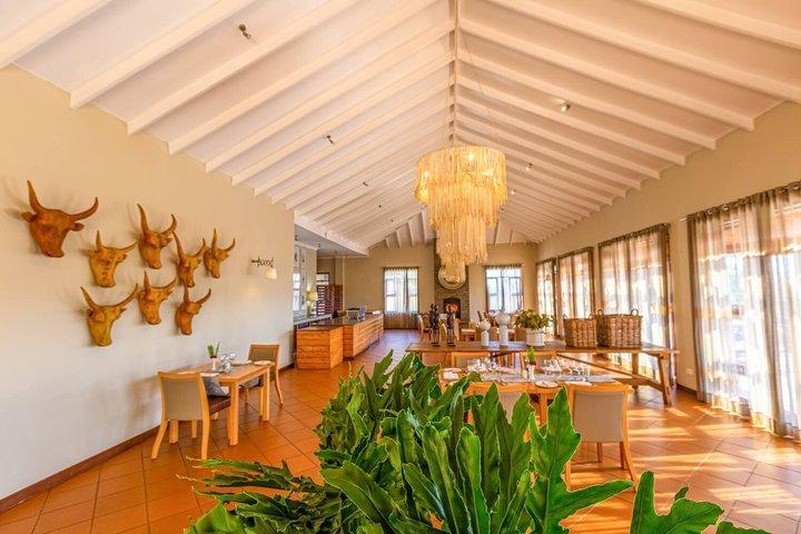 Safari Big Five de lujo de 2 días | Cráter Tarangire & Ngorongoro