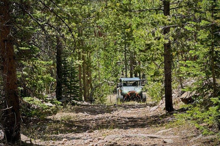 Montañas de Uinta : Extreme 2 Hour UTV Adventure (2 Seat RZR)