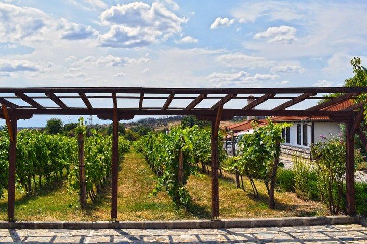 From Plovdiv: Starosel Thracian Temples, Spa and Wine Experience