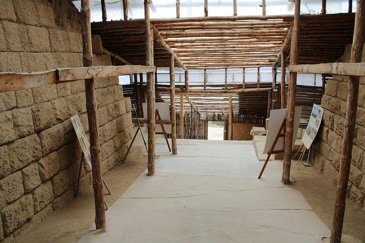 プロヴディフから:スタロセルトラキア寺院、スパ、ワイン体験