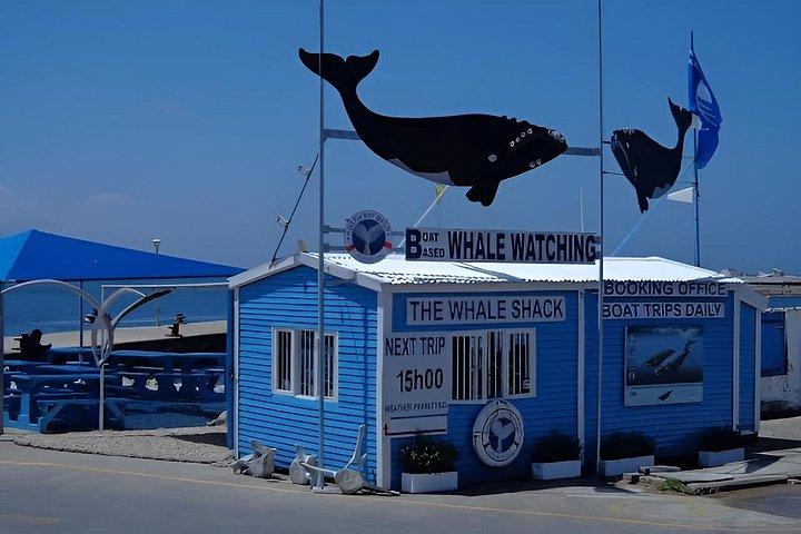 ケープタウン発ヘルマンスクジラウォッチングボート終日ツアー