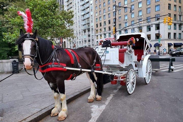 プライベートガイド付き馬車がセントラルパークを駆け抜ける