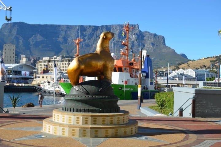 Robben Island Tour Ticket With Host Check-In Assistance