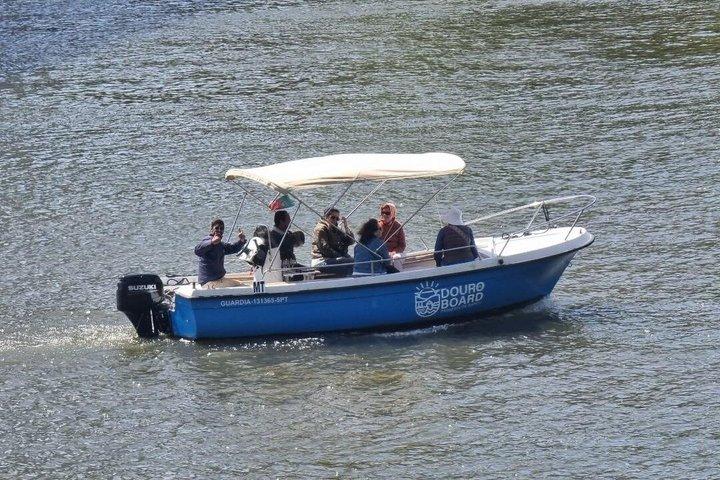 Porto : Douro River Bådtur under de 6 broer