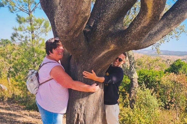 From Faro: Benagil Cliffs, Waterfall & Small-Group Day Trip