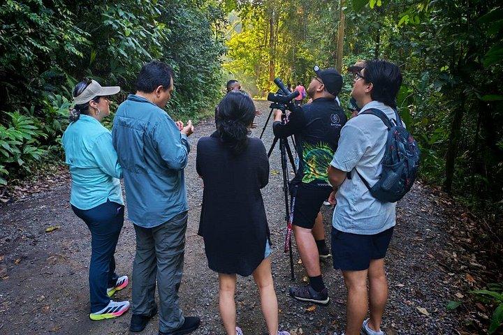 マヌエル・アントニオ国立公園ガイドハイキングと野生動物体験