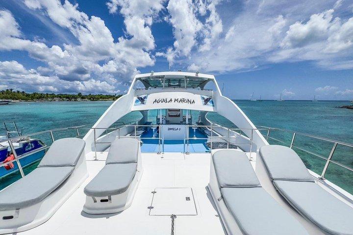 Exklusiv privat Katamaran Tour till Saona Island VIP Service