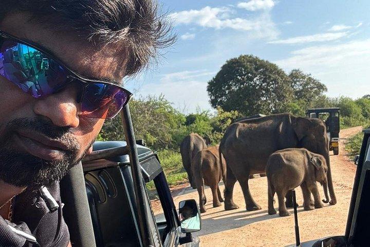 アウンガラ,コスゴダ,ベントタ,ベルワラからヤラ国立公園