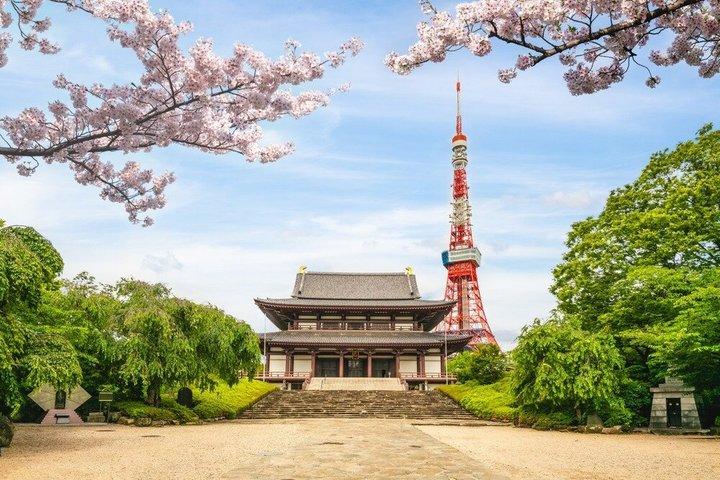 ベストオブ東京ガイド付き半日市内観光