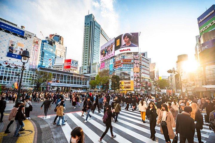ベスト・オブ・トーキョーガイド付き市内全日ツアー