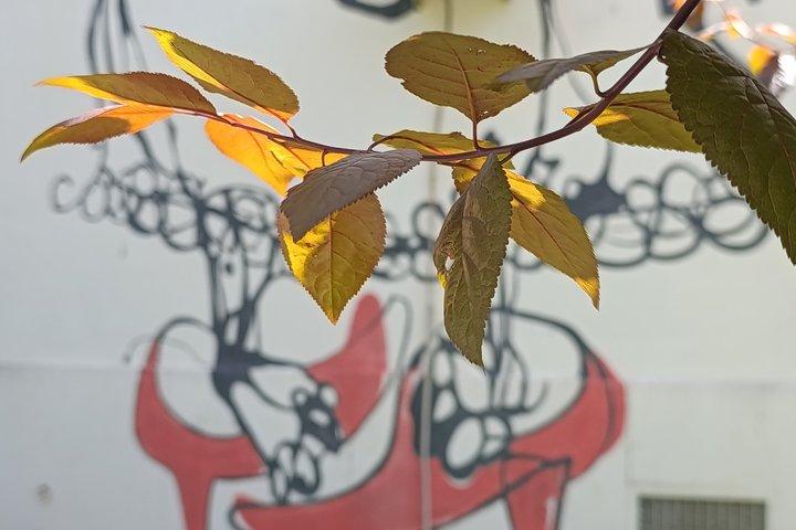 ローマのストリートアートツアー：地元の人とのオフオフ