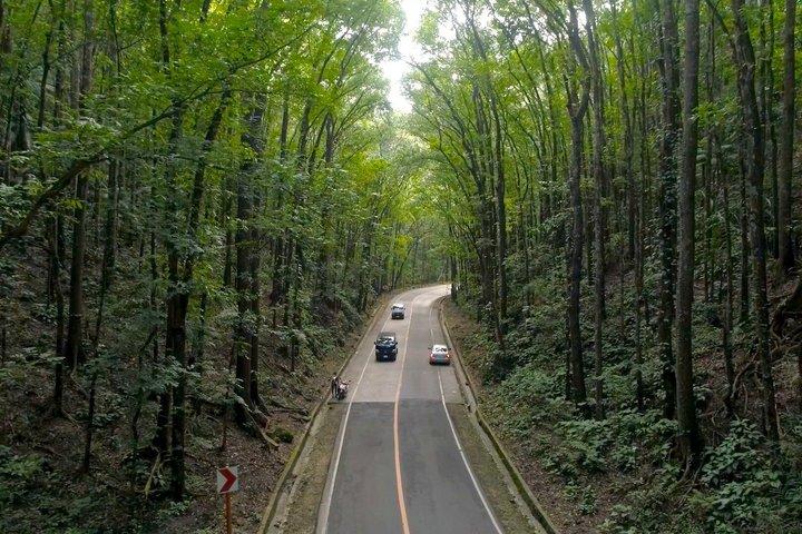 セブ発ボホールハイライト日帰りツアー