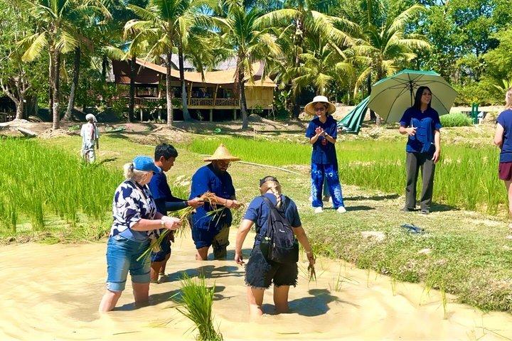 オールドプーケットファーム：タイ文化体験ツアー