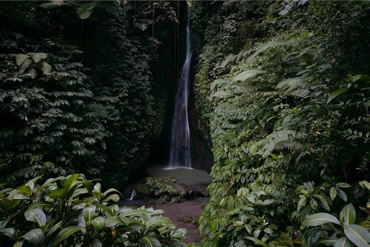 Bedugul: Ulun Danu, Handara Gate & Leke-Leke Falls Experience