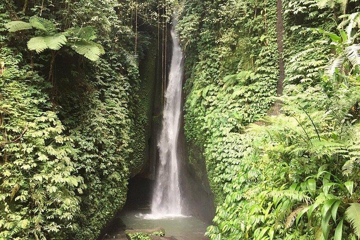 Bedugul: Ulun Danu, Handara Gate & Leke-Leke Falls Experience