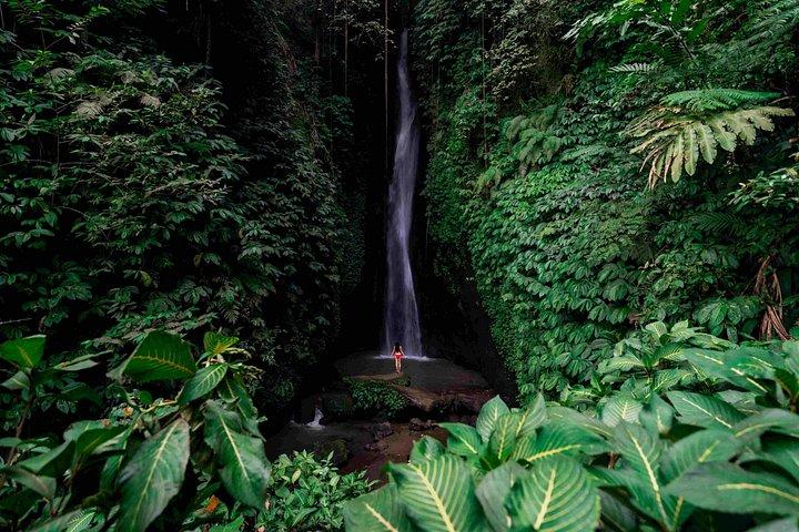 Bedugul: Ulun Danu, Handara Gate & Leke-Leke Falls Experience