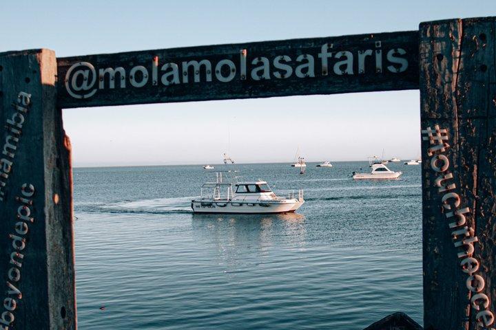 Mola Mola Day with Beach Braai Lunch