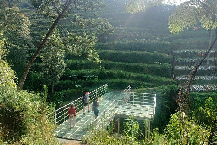 Nepal Van Java & Kedung Kayang Waterfall Tour from Yogyakarta