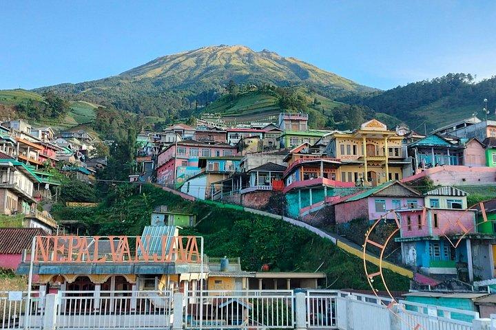 Nepal Van Java & Kedung Kayang Waterfall Tour from Yogyakarta